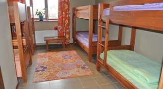 Гостиница Хостел Годзиллас Суздаль Спальное место на двухъярусной кровати в общем номере для мужчин и женщин-4